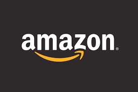 Amazon the largest e-commerce company - Building A Brand Online