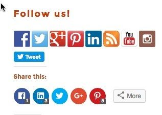 Put Follow Buttons On Your Website to increase social reach
