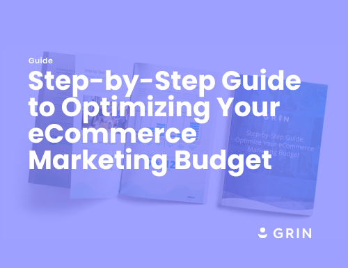 Step-by-Step Guide to Optimizing Your eCommerce Marketing Budget 13