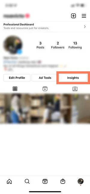 Snapshot of Instagram Insights