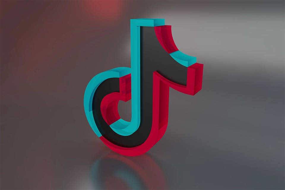 A Complete Guide to TikTok Content Categories 1