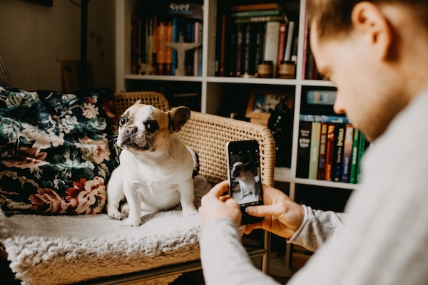 A man taking a photo of a dog with his phone for Instagram