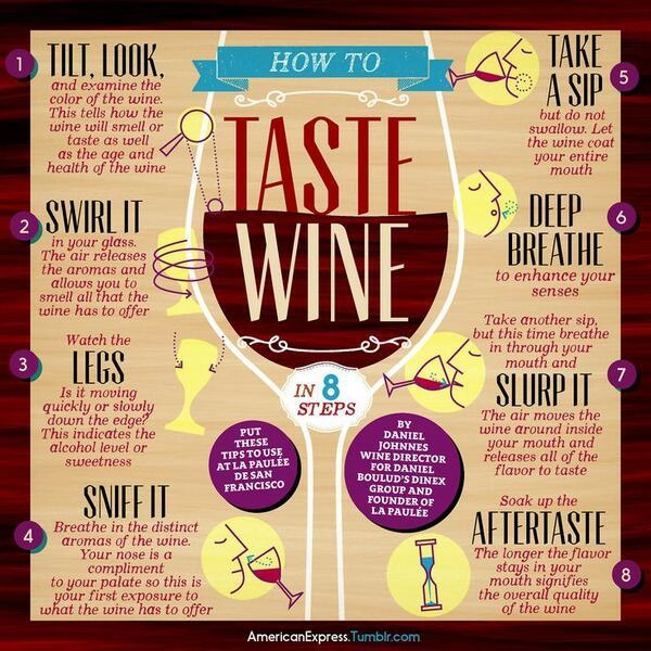 How to Taste Wine infographic