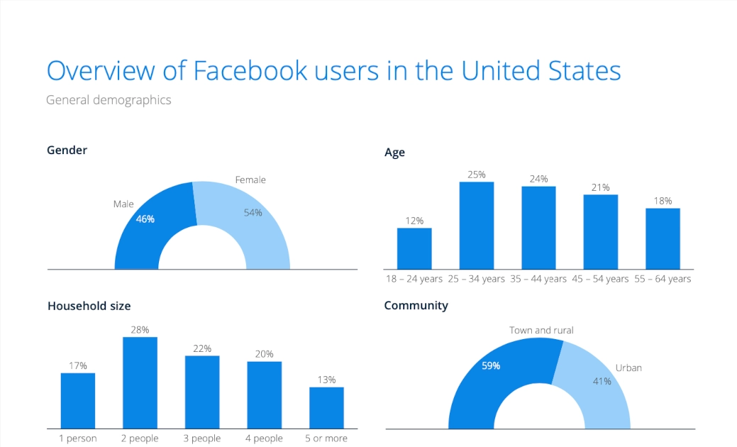 Graphs of overviews of Facebook users in the US by gender, age, household size, and community