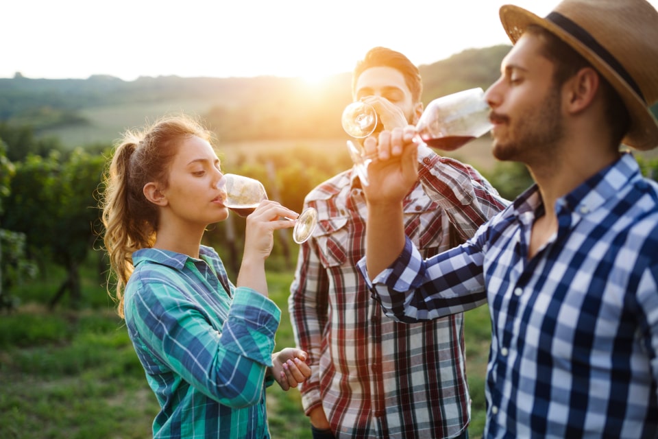 Wine Marketing: A Complete Guide and How to Work with Wine Influencers 2