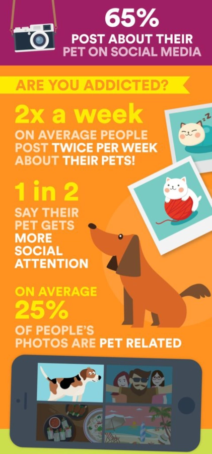 Infographic on pets on social media