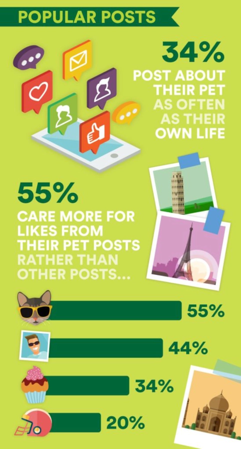 Infographic on pet social media posts