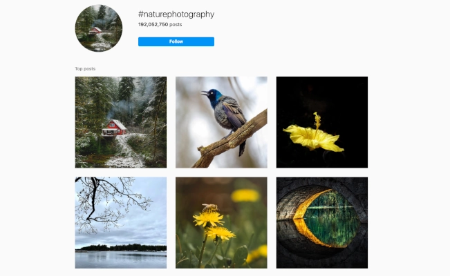Screenshot of Instagram hashtag "naturephotography" results