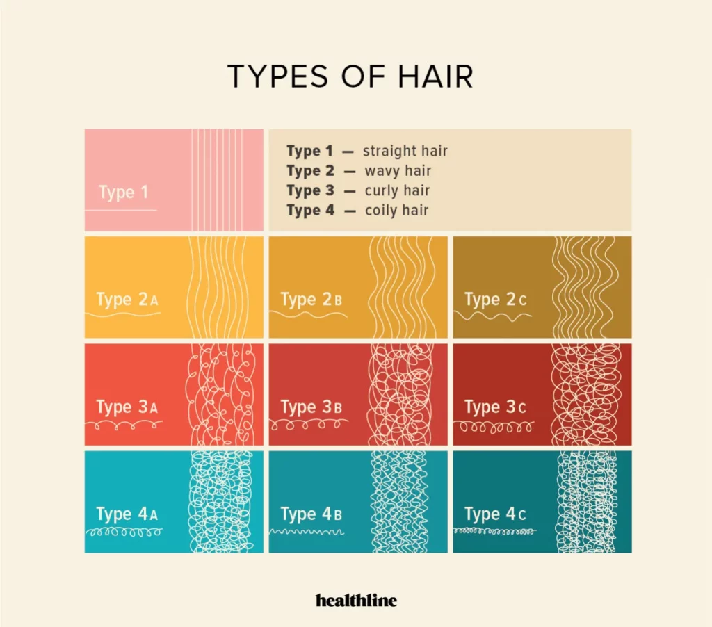 Chart of types of hair