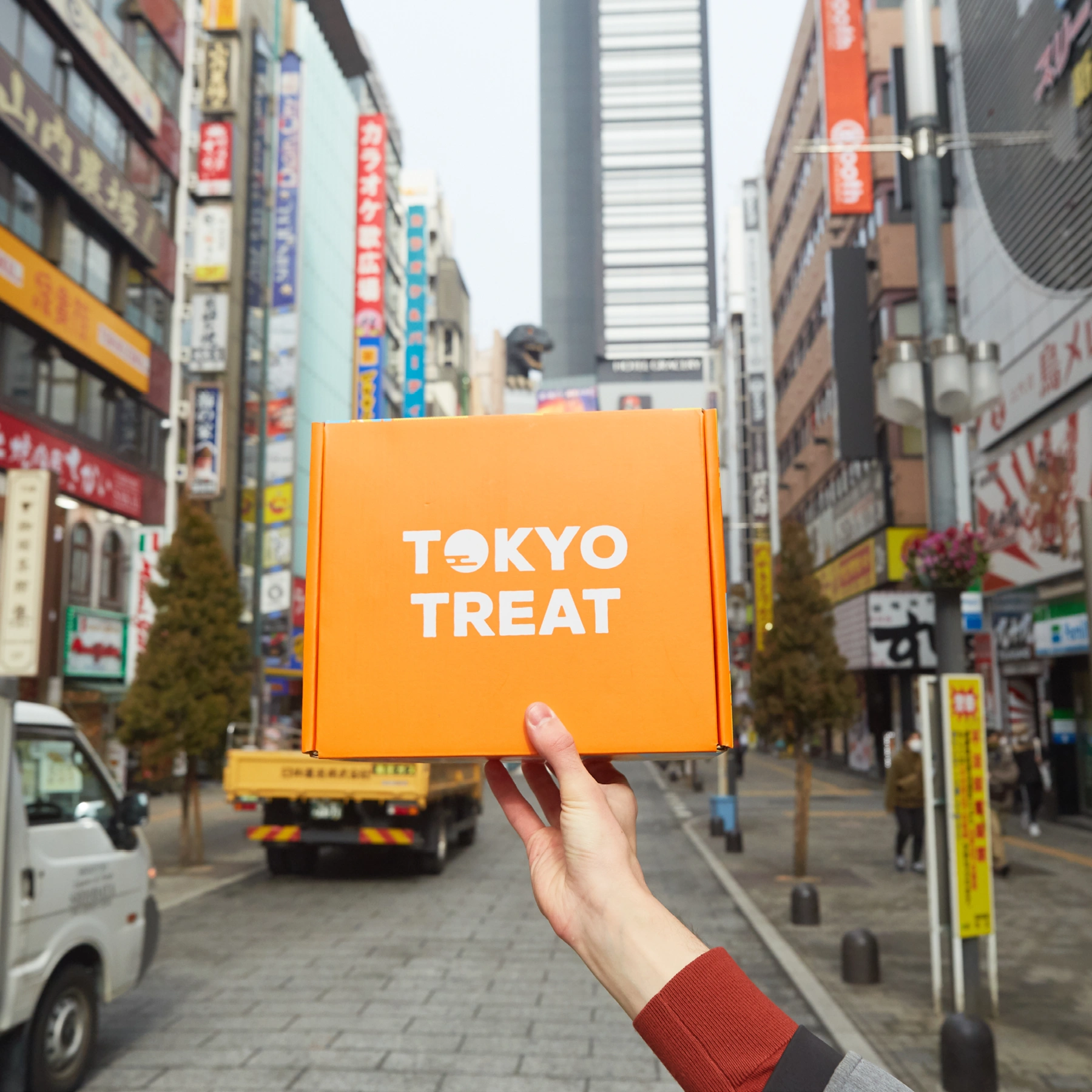 Someone holding up a Toyko Treat box