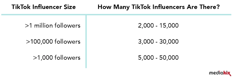 Table of TikTok influencers and their following size
