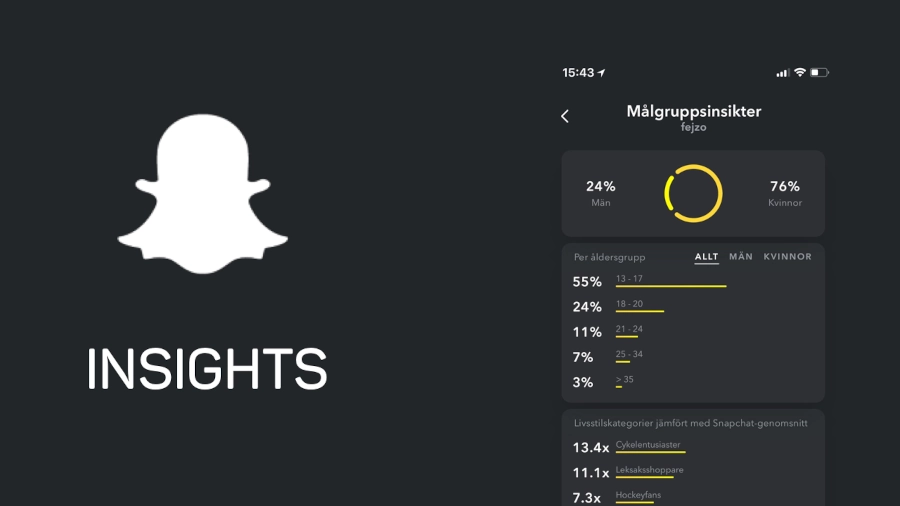Snapchat insights screenshot